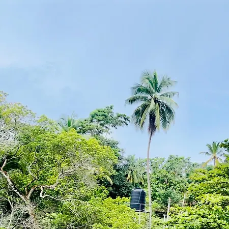 Paddy Green Villa Unawatuna Close By Sri Yoga Shala Exterior photo